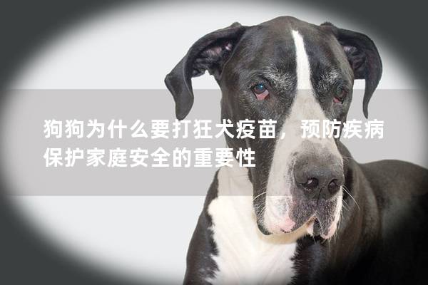 狗狗为什么要打狂犬疫苗，预防疾病保护家庭安全的重要性