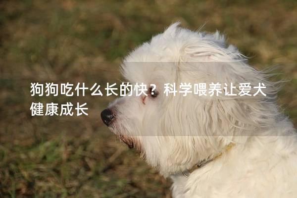 狗狗吃什么长的快？科学喂养让爱犬健康成长