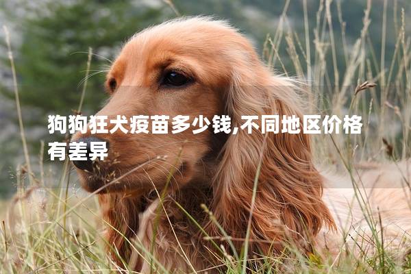 狗狗狂犬疫苗多少钱,不同地区价格有差异