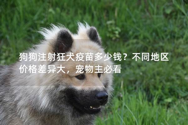 狗狗注射狂犬疫苗多少钱？不同地区价格差异大，宠物主必看