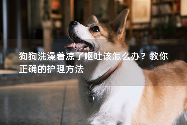 狗狗洗澡着凉了呕吐该怎么办？教你正确的护理方法
