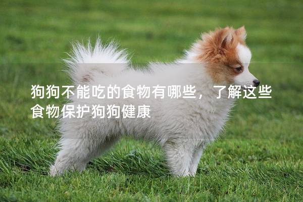 狗狗不能吃的食物有哪些，了解这些食物保护狗狗健康