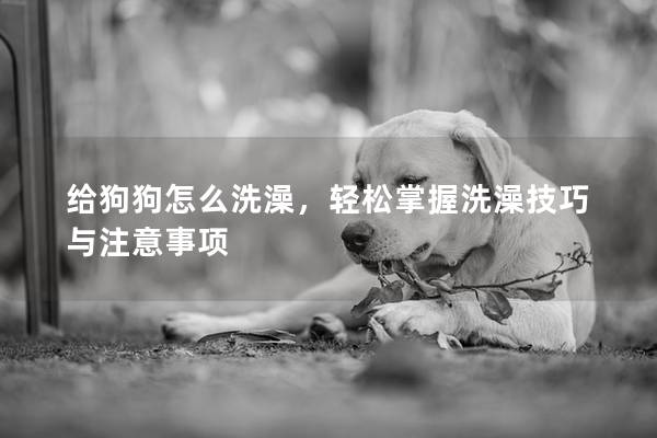给狗狗怎么洗澡，轻松掌握洗澡技巧与注意事项