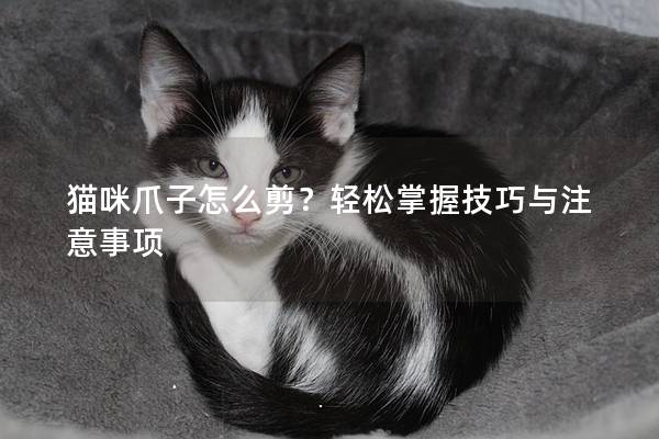 猫咪爪子怎么剪？轻松掌握技巧与注意事项