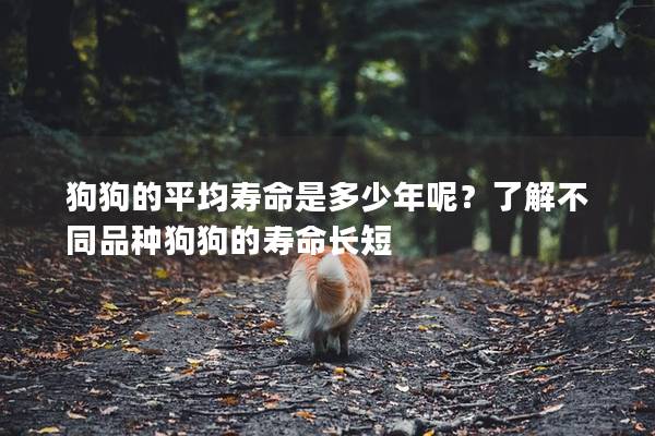 狗狗的平均寿命是多少年呢？了解不同品种狗狗的寿命长短