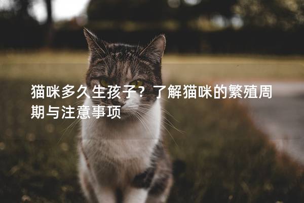 猫咪多久生孩子？了解猫咪的繁殖周期与注意事项