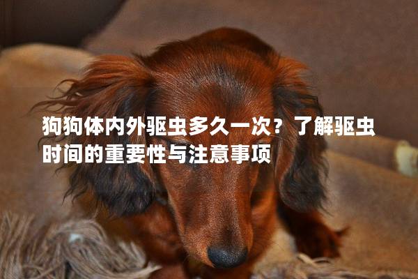 狗狗体内外驱虫多久一次？了解驱虫时间的重要性与注意事项