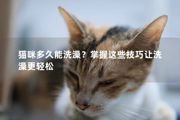 猫咪多久能洗澡？掌握这些技巧让洗澡更轻松