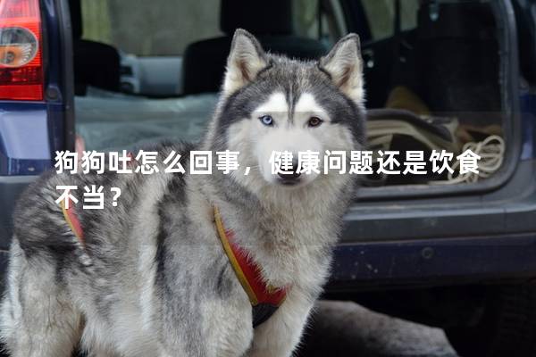 狗狗吐怎么回事，健康问题还是饮食不当？