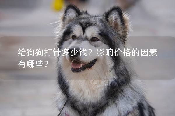 给狗狗打针多少钱？影响价格的因素有哪些？