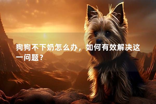 狗狗不下奶怎么办，如何有效解决这一问题？