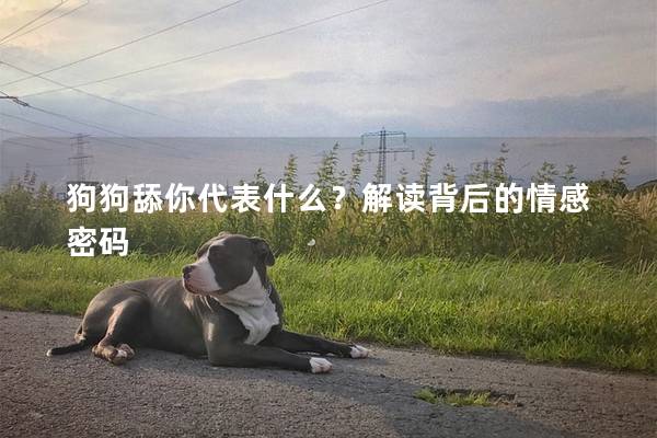 狗狗舔你代表什么？解读背后的情感密码