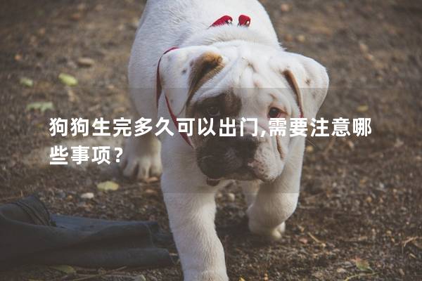 狗狗生完多久可以出门,需要注意哪些事项？