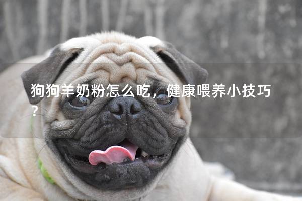 狗狗羊奶粉怎么吃，健康喂养小技巧？