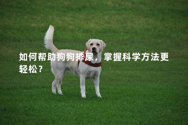 如何帮助狗狗排尿，掌握科学方法更轻松？