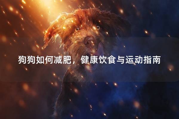 狗狗如何减肥，健康饮食与运动指南