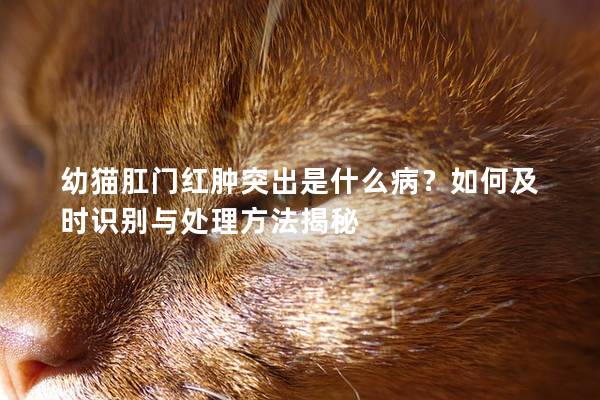 幼猫肛门红肿突出是什么病？如何及时识别与处理方法揭秘