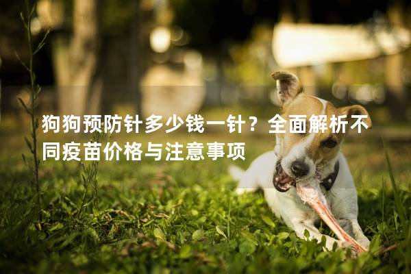 狗狗预防针多少钱一针？全面解析不同疫苗价格与注意事项