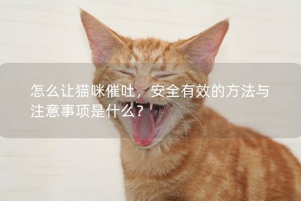怎么让猫咪催吐，安全有效的方法与注意事项是什么？