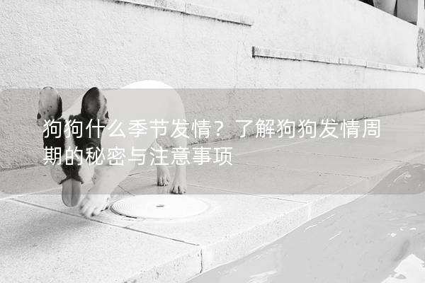 狗狗什么季节发情？了解狗狗发情周期的秘密与注意事项