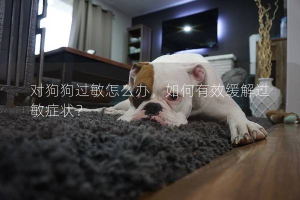 对狗狗过敏怎么办，如何有效缓解过敏症状？