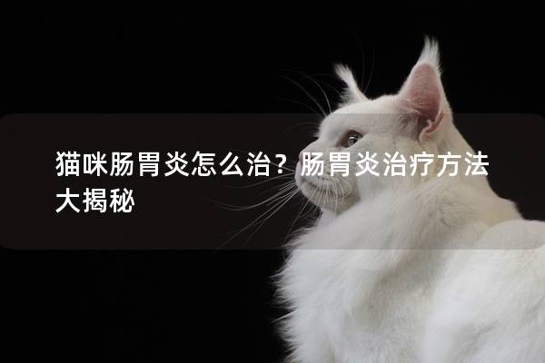 猫咪肠胃炎怎么治？肠胃炎治疗方法大揭秘