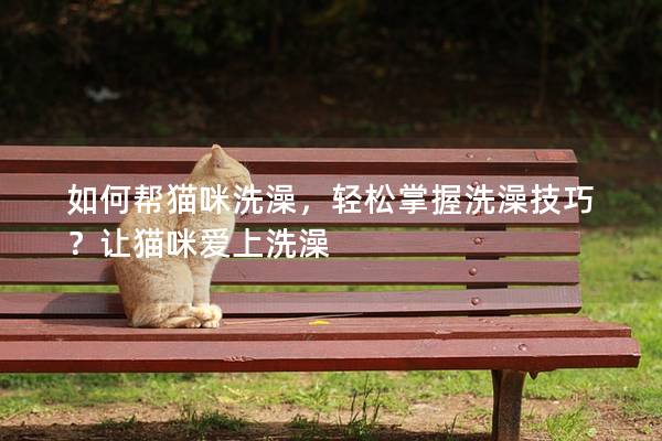 如何帮猫咪洗澡，轻松掌握洗澡技巧？让猫咪爱上洗澡