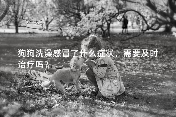 狗狗洗澡感冒了什么症状，需要及时治疗吗？