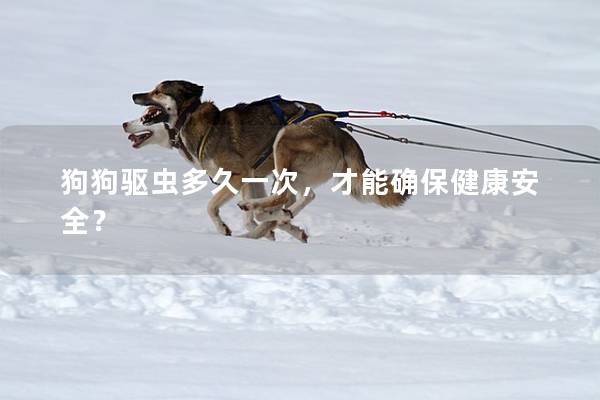 狗狗驱虫多久一次，才能确保健康安全？