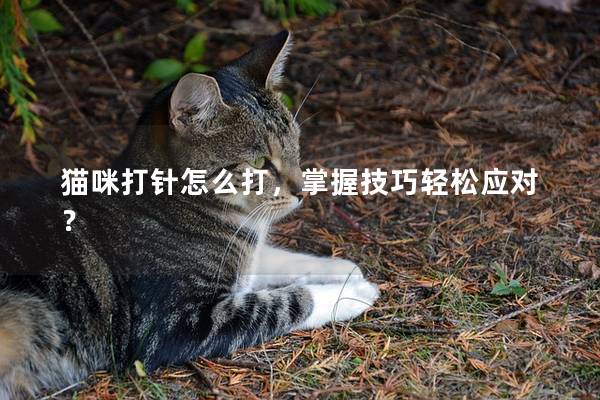 猫咪打针怎么打，掌握技巧轻松应对？