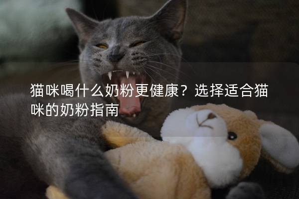 猫咪喝什么奶粉更健康？选择适合猫咪的奶粉指南