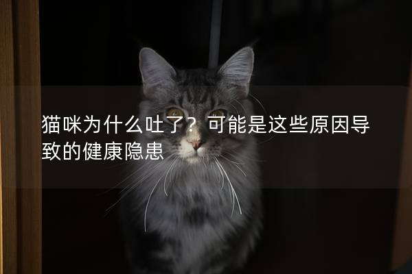 猫咪为什么吐了？可能是这些原因导致的健康隐患