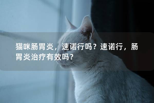 猫咪肠胃炎，速诺行吗？速诺行，肠胃炎治疗有效吗？