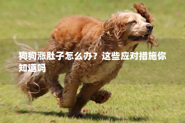 狗狗涨肚子怎么办？这些应对措施你知道吗