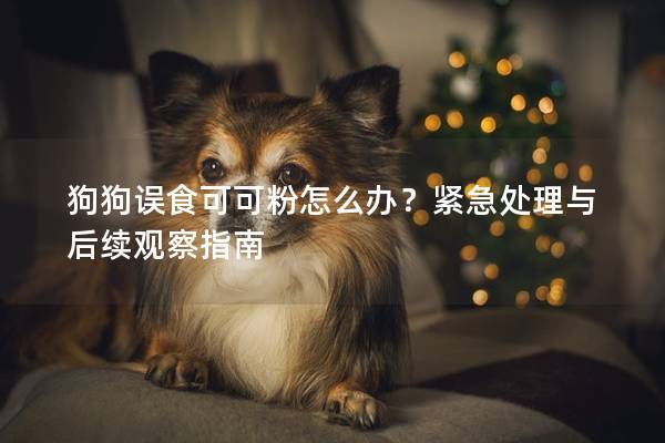 狗狗误食可可粉怎么办？紧急处理与后续观察指南