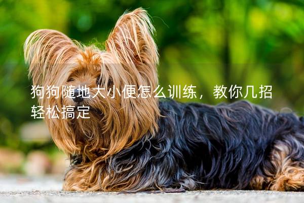 狗狗随地大小便怎么训练，教你几招轻松搞定