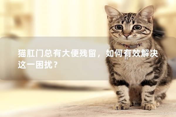 猫肛门总有大便残留，如何有效解决这一困扰？