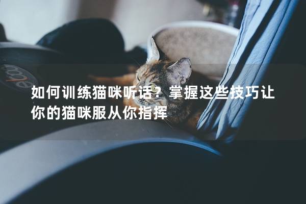 如何训练猫咪听话？掌握这些技巧让你的猫咪服从你指挥
