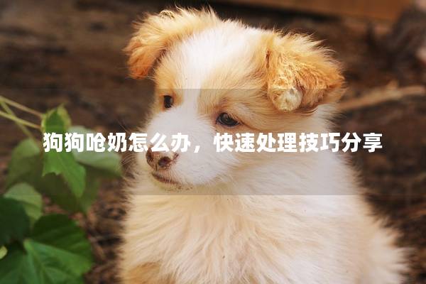 狗狗呛奶怎么办，快速处理技巧分享