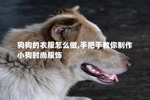 狗狗的衣服怎么做,手把手教你制作小狗时尚服饰