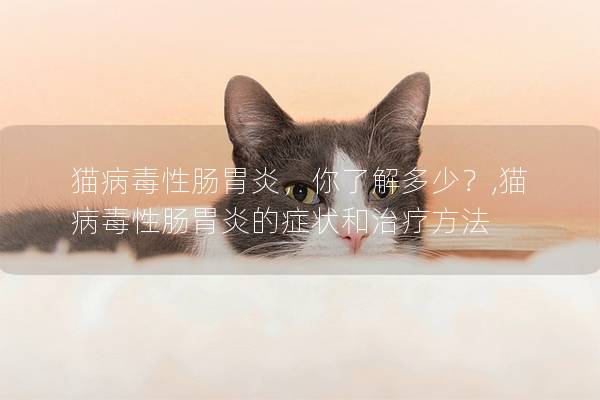 猫病毒性肠胃炎，你了解多少？,猫病毒性肠胃炎的症状和治疗方法