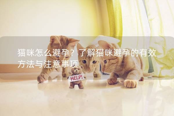 猫咪怎么避孕？了解猫咪避孕的有效方法与注意事项