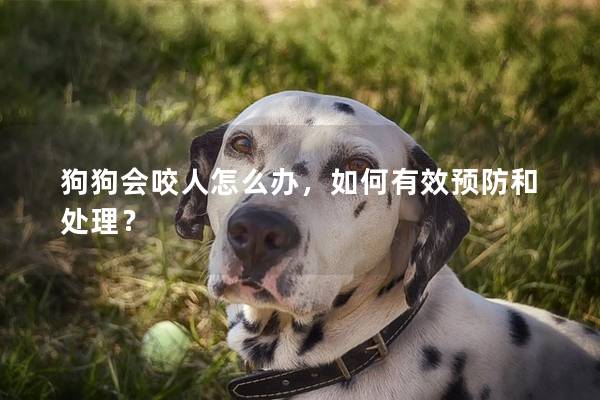 狗狗会咬人怎么办，如何有效预防和处理？