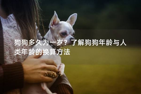 狗狗多久为一岁？了解狗狗年龄与人类年龄的换算方法
