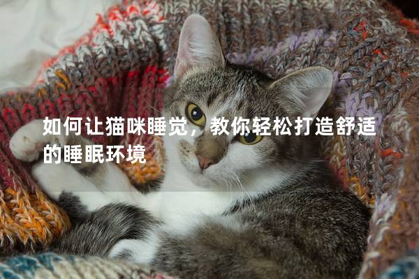 如何让猫咪睡觉，教你轻松打造舒适的睡眠环境