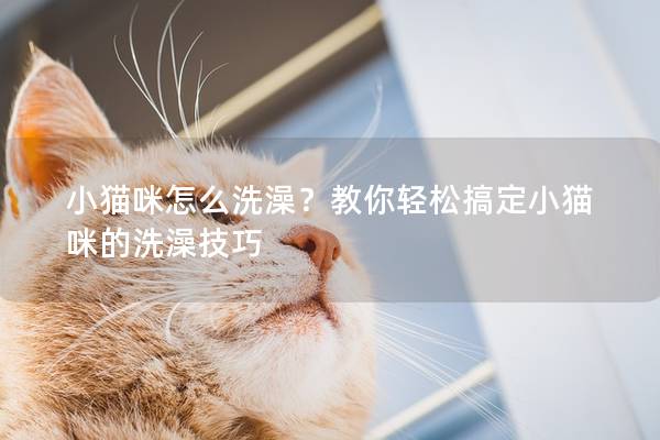 小猫咪怎么洗澡？教你轻松搞定小猫咪的洗澡技巧