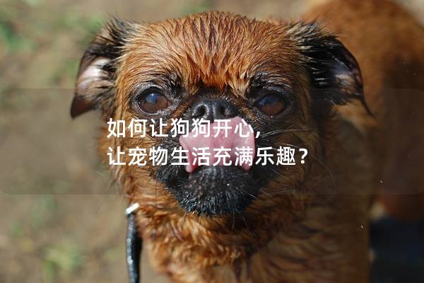 如何让狗狗开心, 让宠物生活充满乐趣？