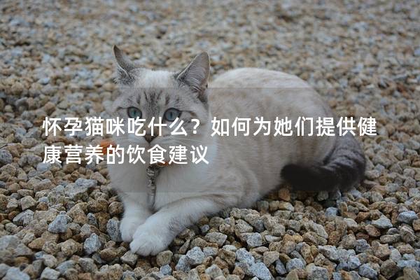 怀孕猫咪吃什么？如何为她们提供健康营养的饮食建议