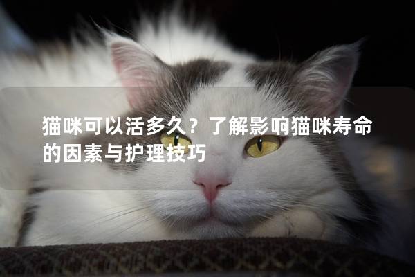猫咪可以活多久？了解影响猫咪寿命的因素与护理技巧