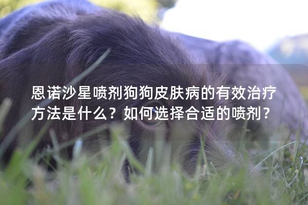恩诺沙星喷剂狗狗皮肤病的有效治疗方法是什么？如何选择合适的喷剂？